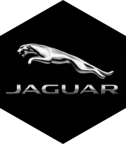 Jaguar - Công Ty Cổ Phần Quảng Cáo Kết Nối Trực Tuyến Conex